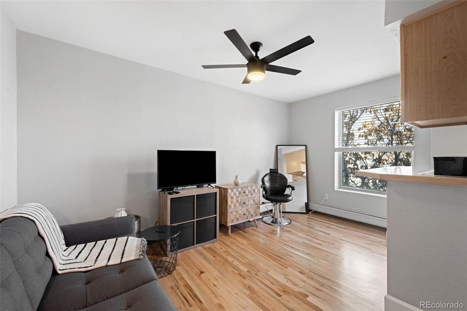 MLS Image #9 for 1629 n clarkson street,denver, Colorado