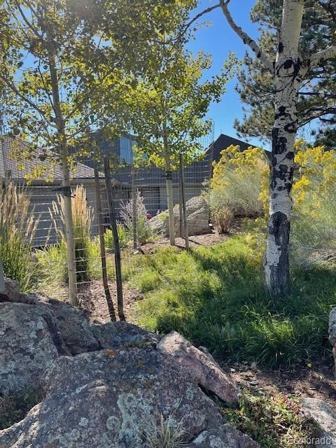 MLS Image #43 for 25060  montane drive west ,golden, Colorado