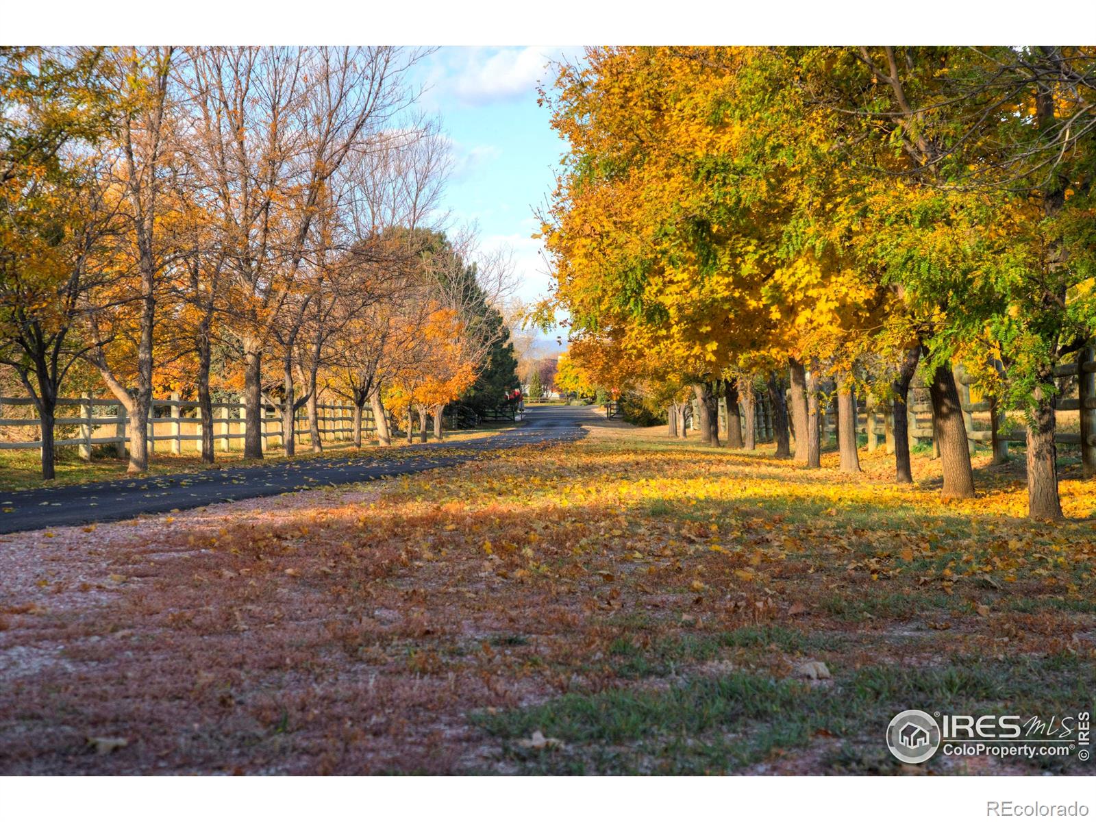 MLS Image #7 for 3480  egret lane,fort collins, Colorado