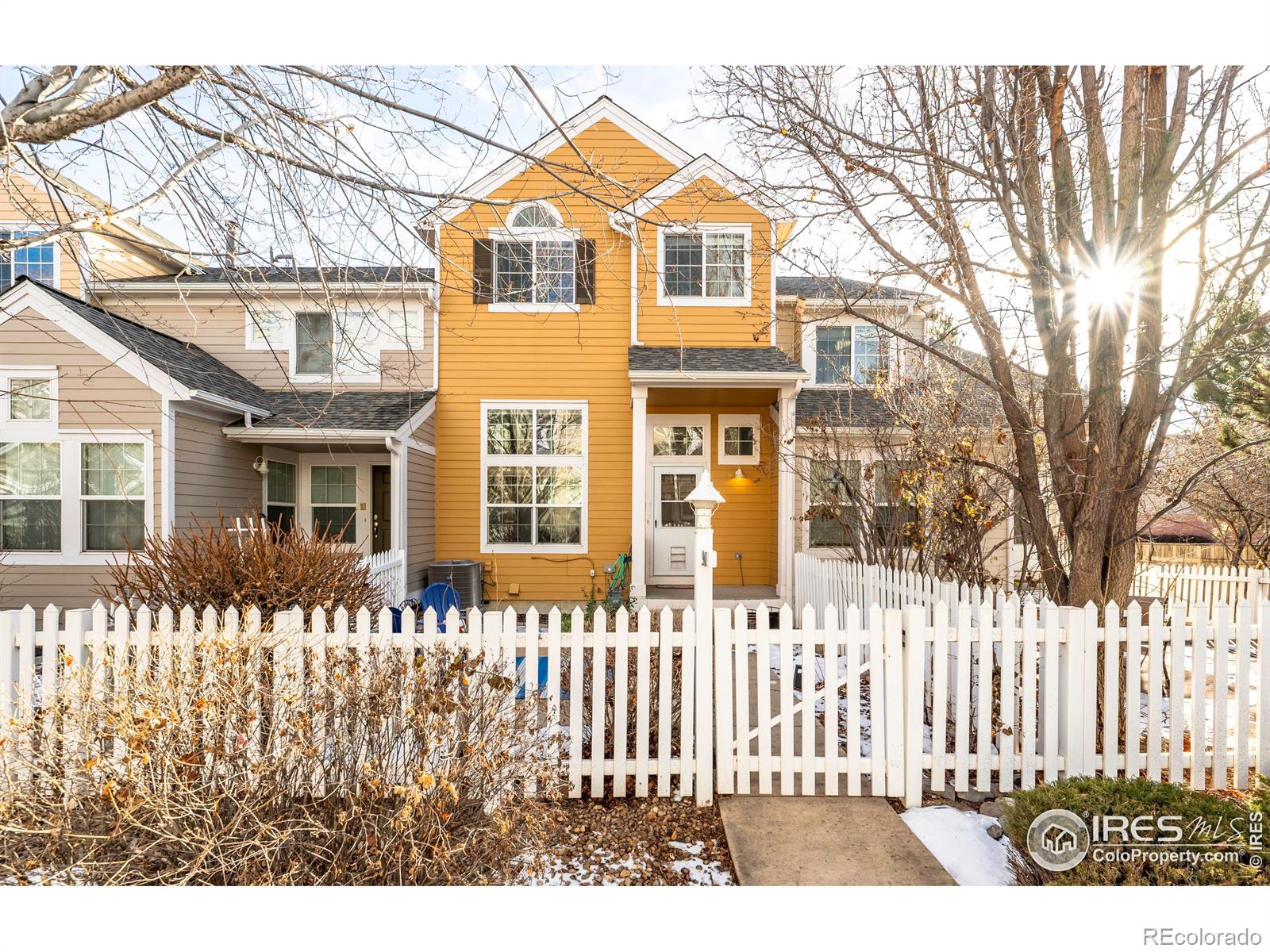 MLS Image #2 for 911  snowberry street,longmont, Colorado