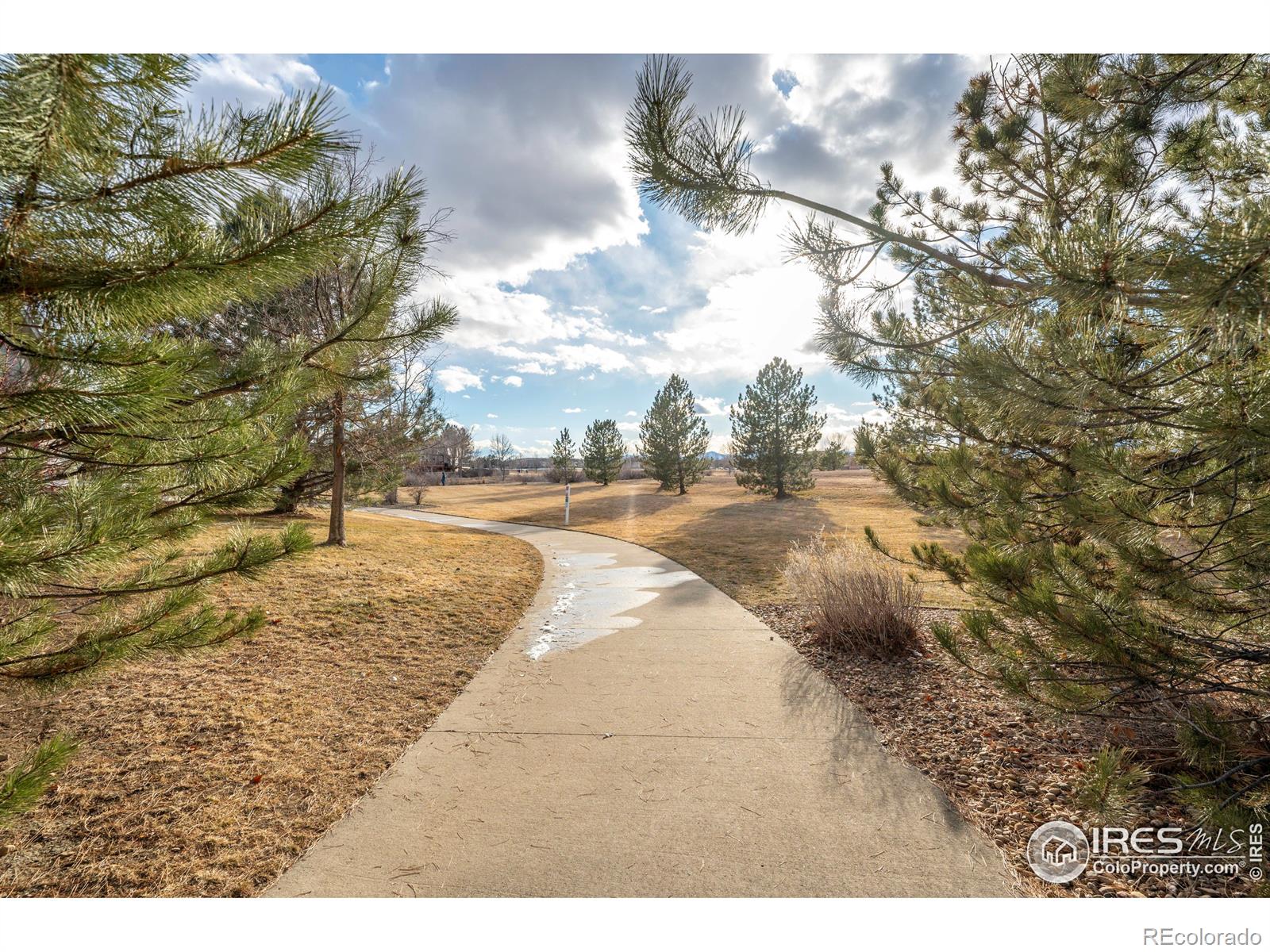 MLS Image #36 for 911  snowberry street,longmont, Colorado