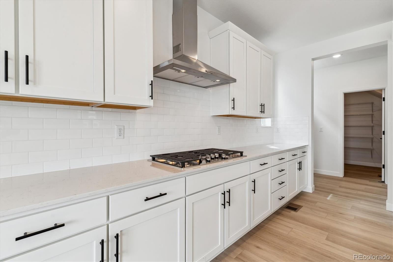 MLS Image #13 for 8480  eagle river street,littleton, Colorado