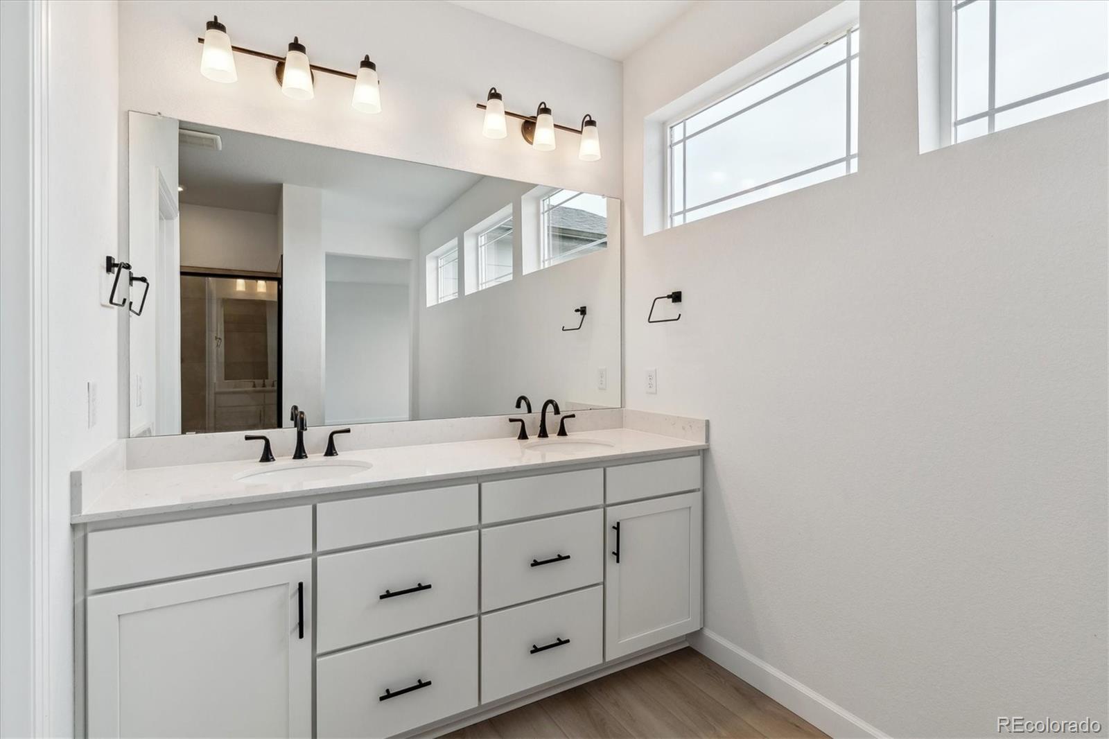 MLS Image #21 for 8480  eagle river street,littleton, Colorado