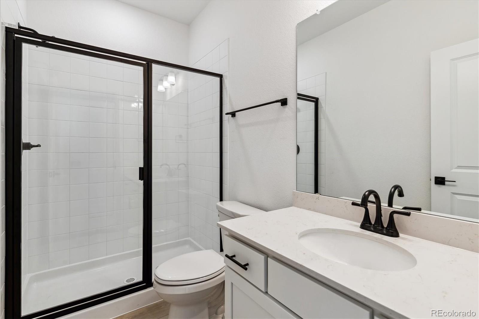 MLS Image #4 for 8480  eagle river street,littleton, Colorado