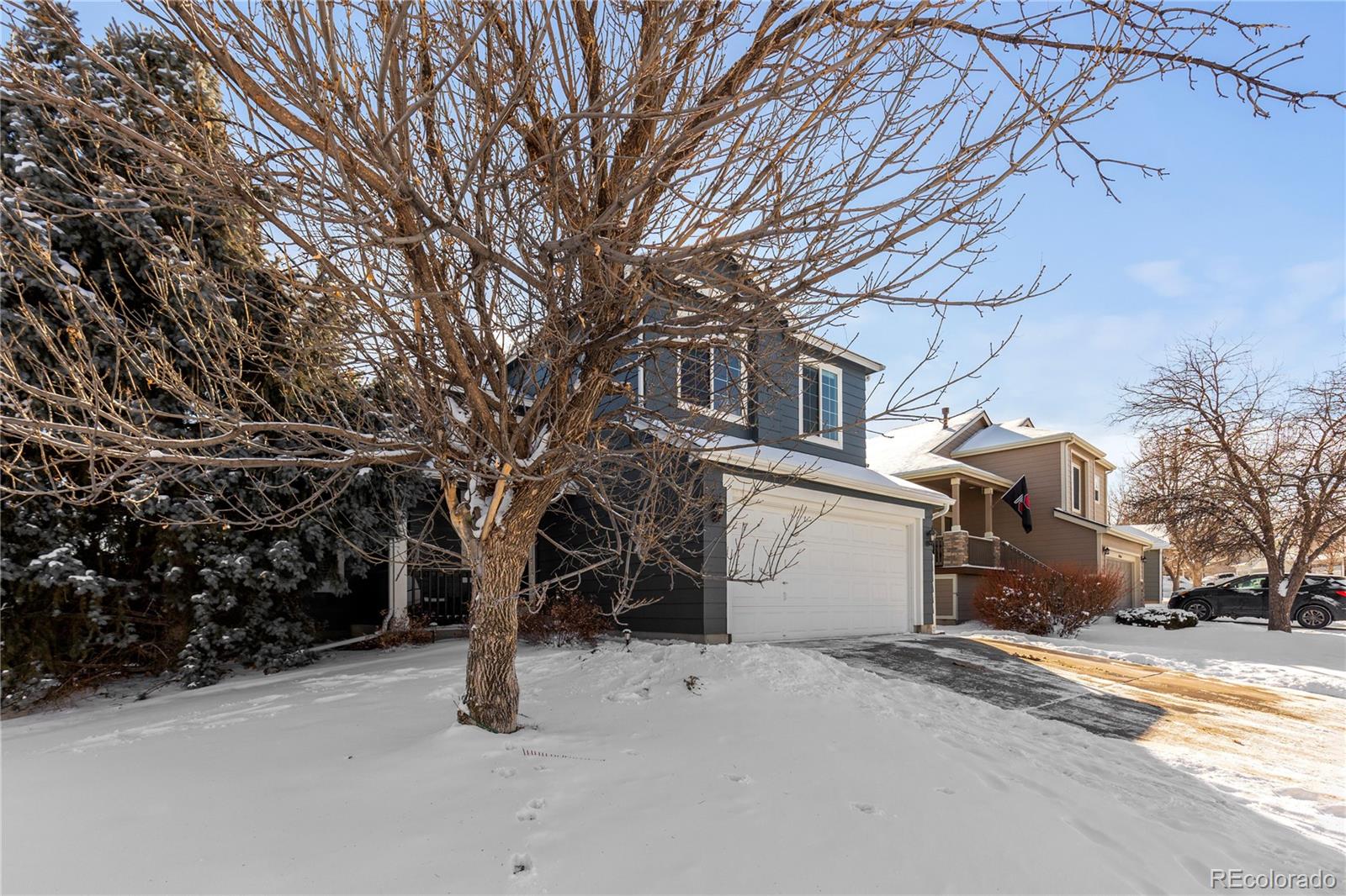 MLS Image #17 for 8458  bluegrass circle,parker, Colorado