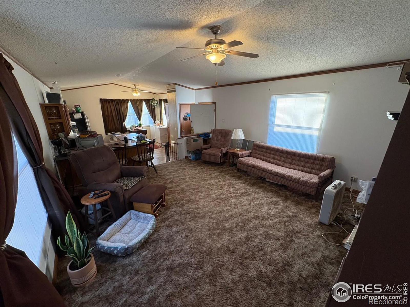 MLS Image #5 for 315  hays avenue,sterling, Colorado