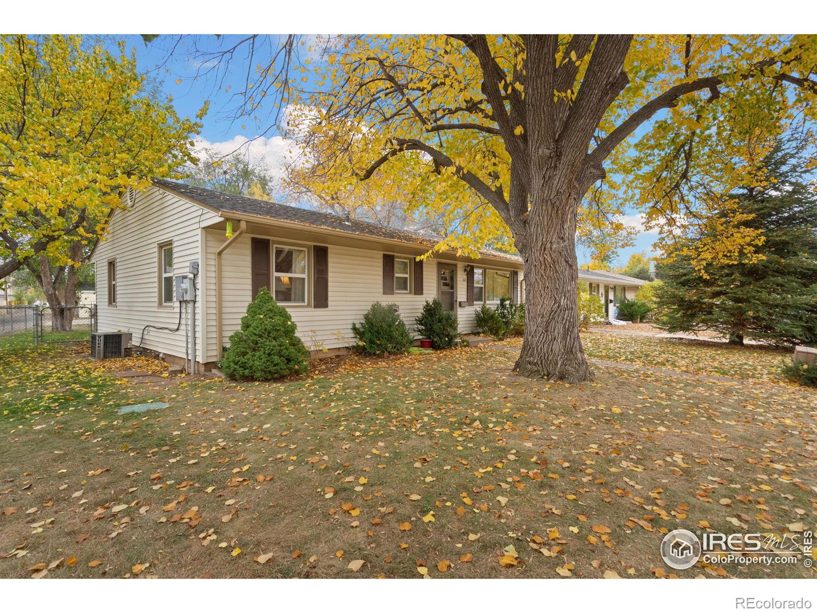 MLS Image #2 for 610 n california avenue,loveland, Colorado