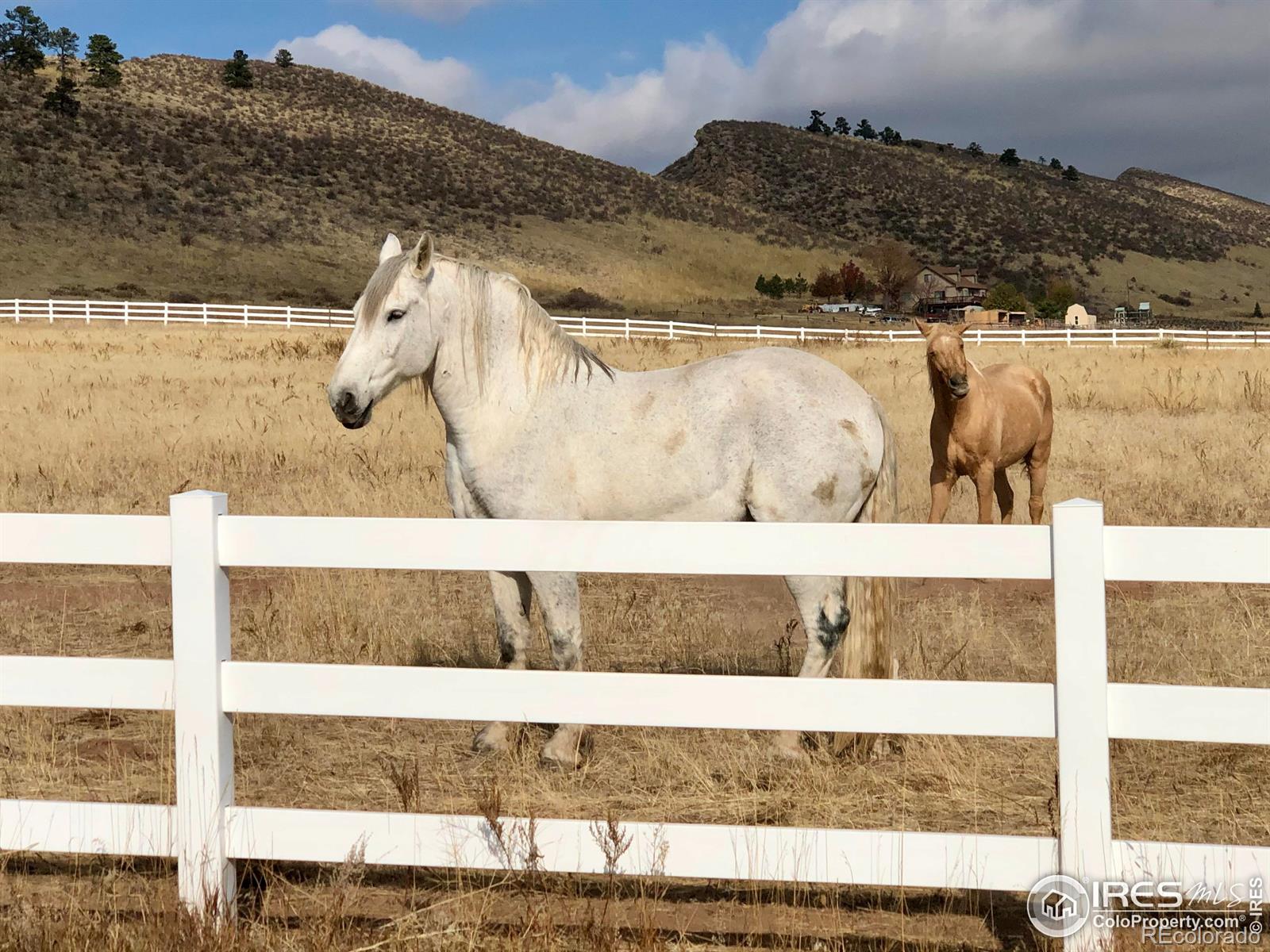 MLS Image #29 for 5575  spring glade road,loveland, Colorado