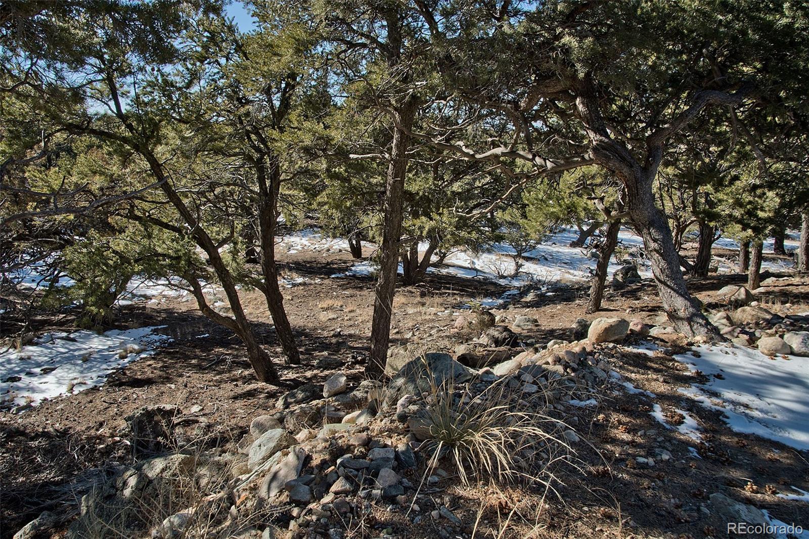 MLS Image #41 for 3585  al fresco way,crestone, Colorado