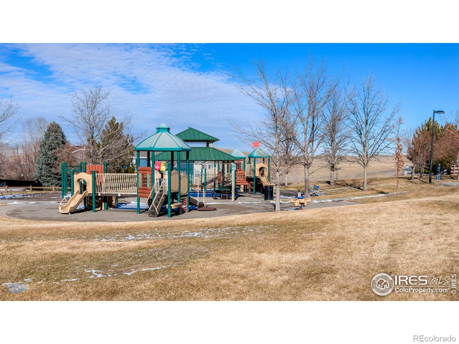 MLS Image #36 for 1420  hickory drive,erie, Colorado