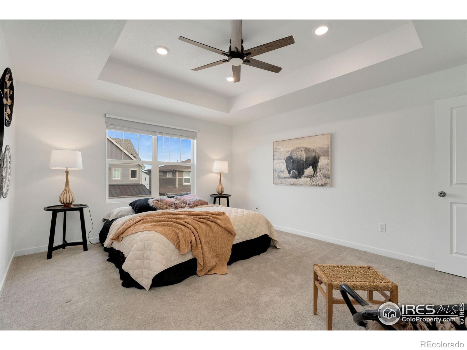 MLS Image #13 for 6248  wild rye street,loveland, Colorado