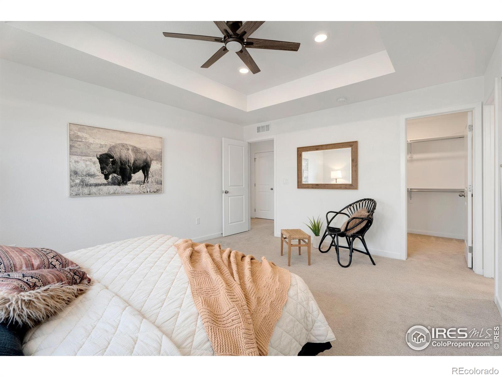 MLS Image #15 for 6248  wild rye street,loveland, Colorado