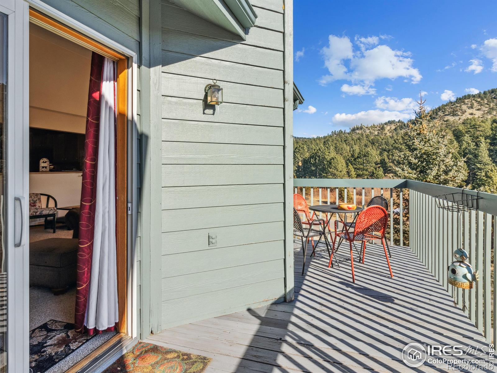 MLS Image #14 for 1861  raven avenue,estes park, Colorado