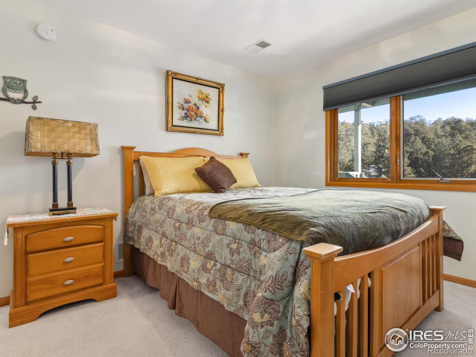 MLS Image #24 for 1861  raven avenue,estes park, Colorado