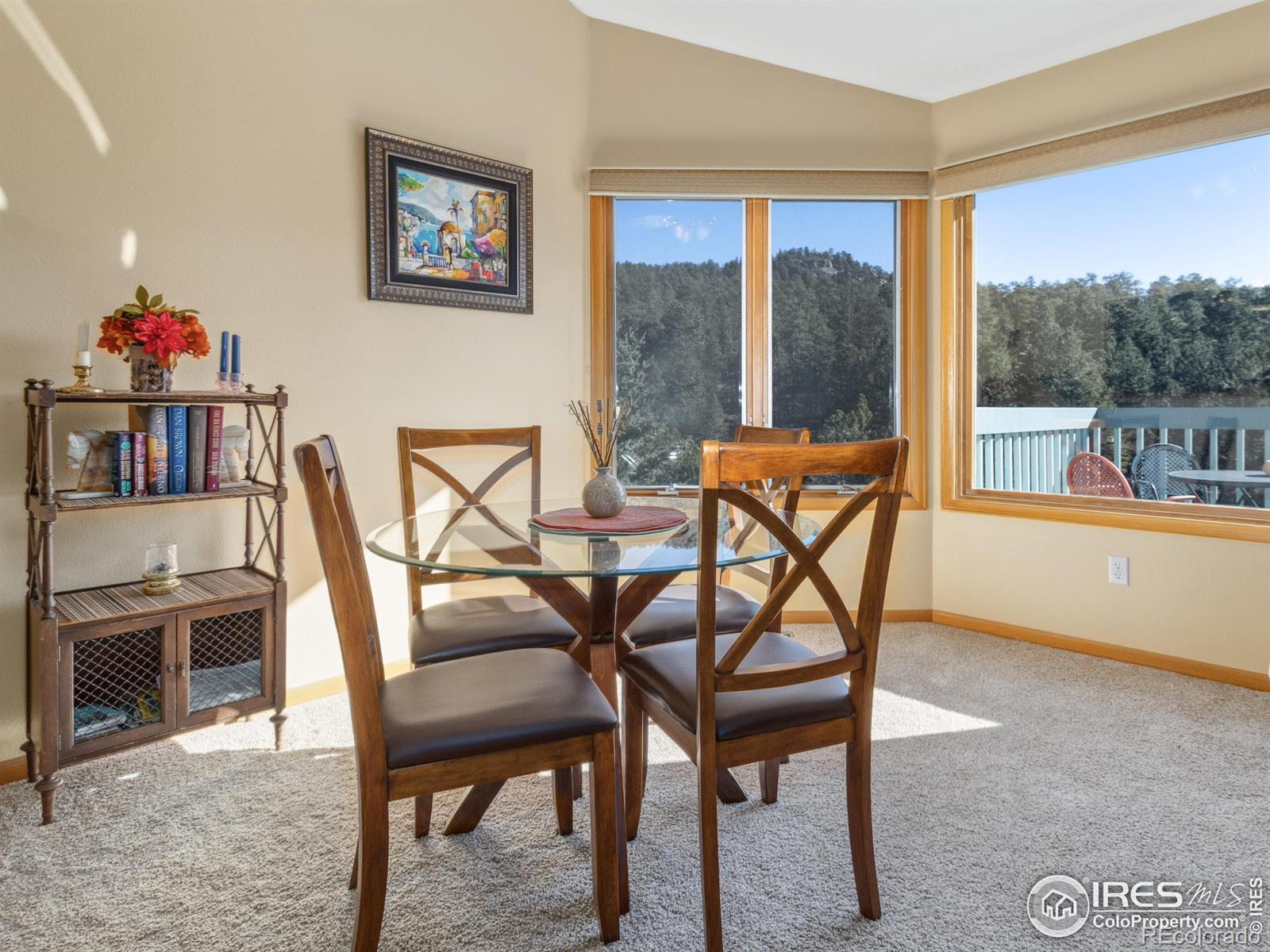 MLS Image #8 for 1861  raven avenue,estes park, Colorado