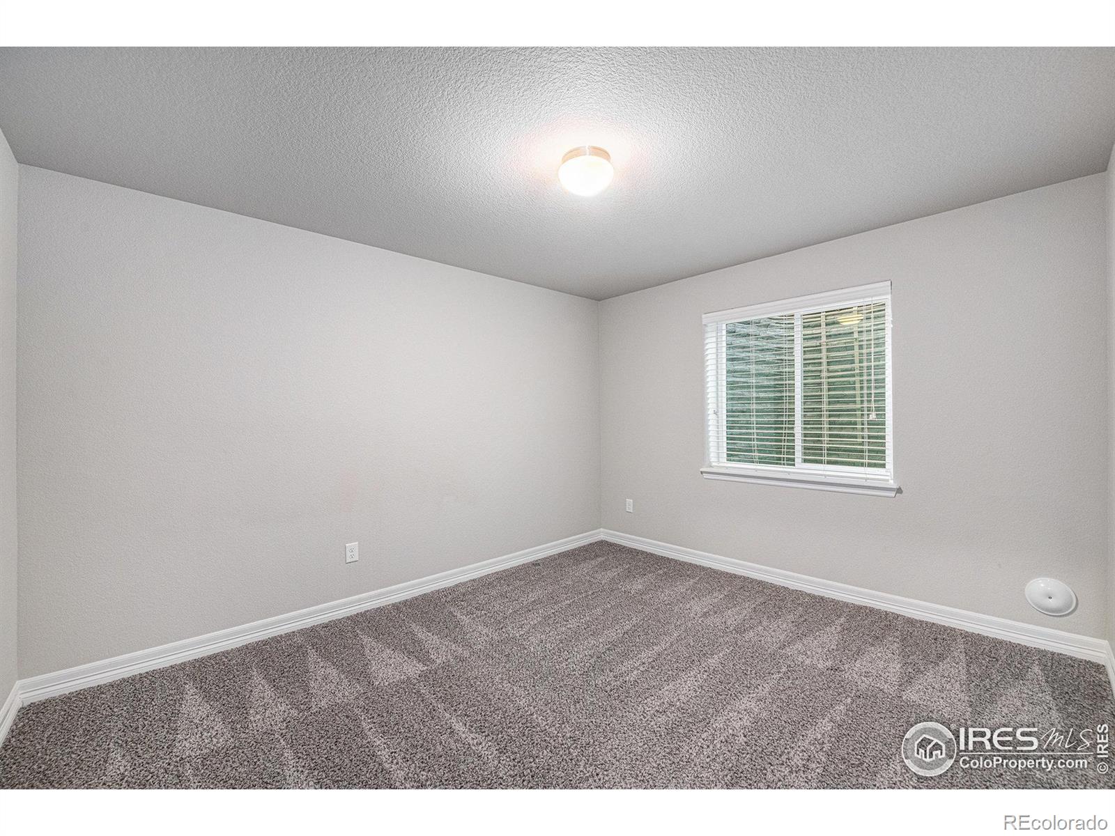 MLS Image #31 for 2163  chianina street,mead, Colorado