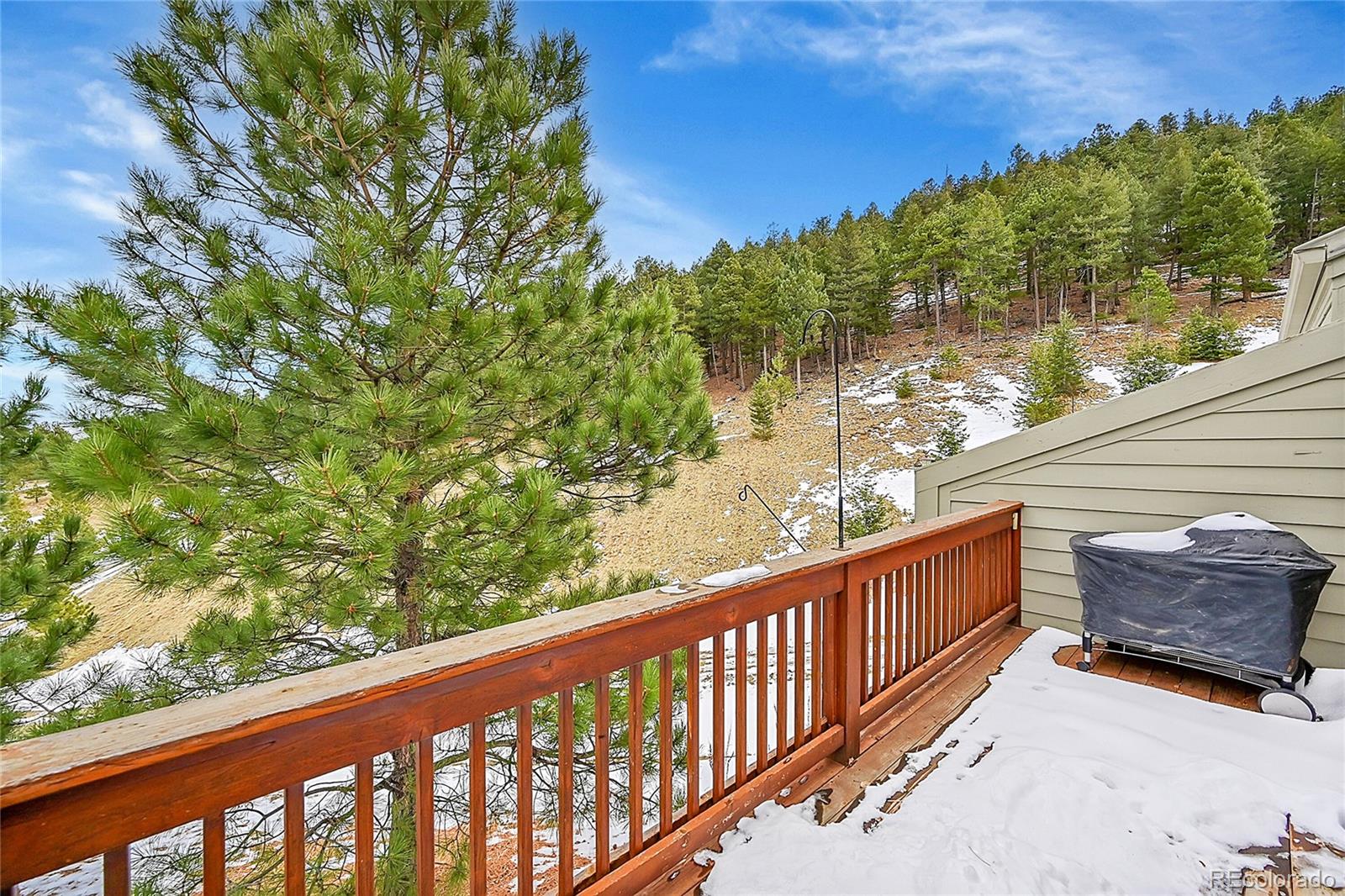 MLS Image #13 for 796  chimney creek drive,golden, Colorado