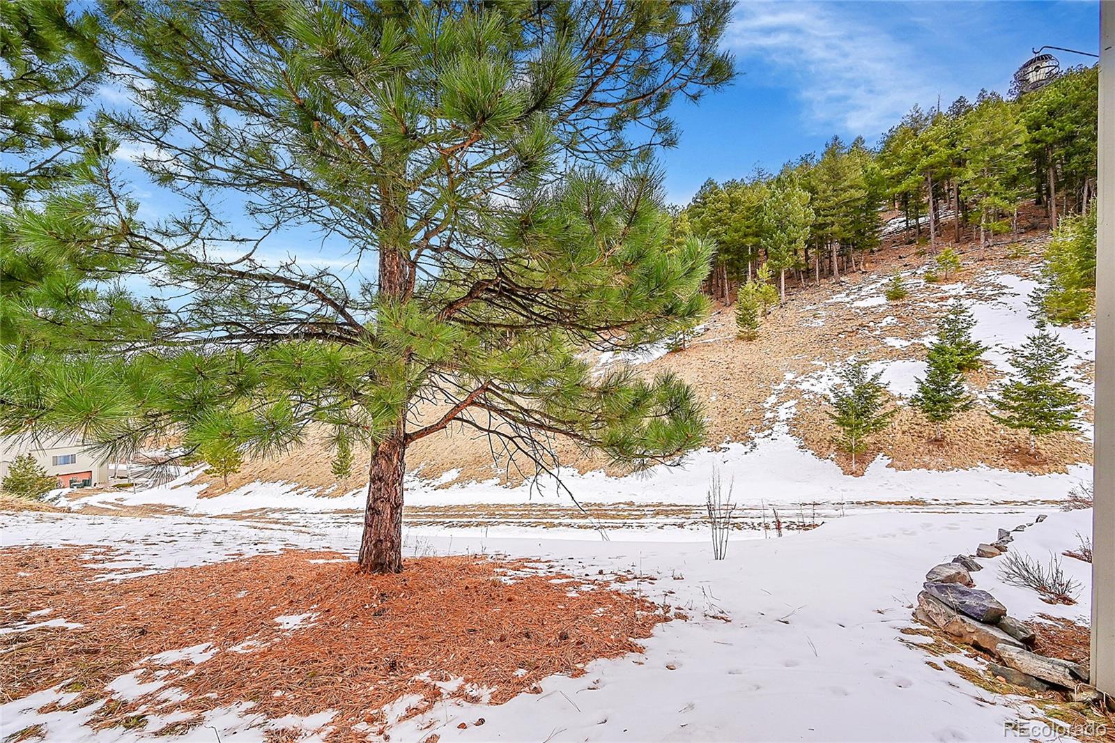 MLS Image #30 for 796  chimney creek drive,golden, Colorado