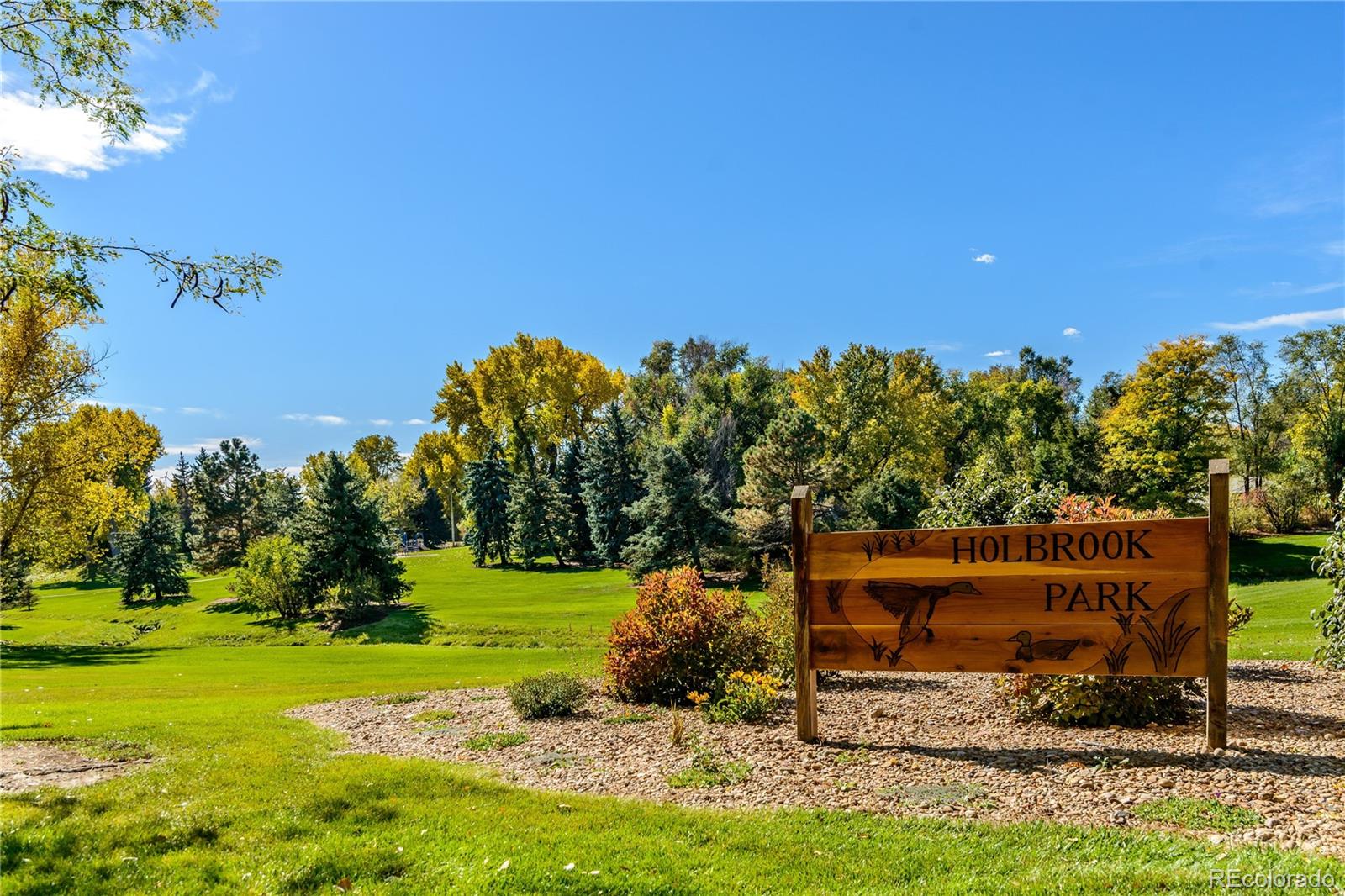 MLS Image #46 for 9230  lombardy lane,denver, Colorado