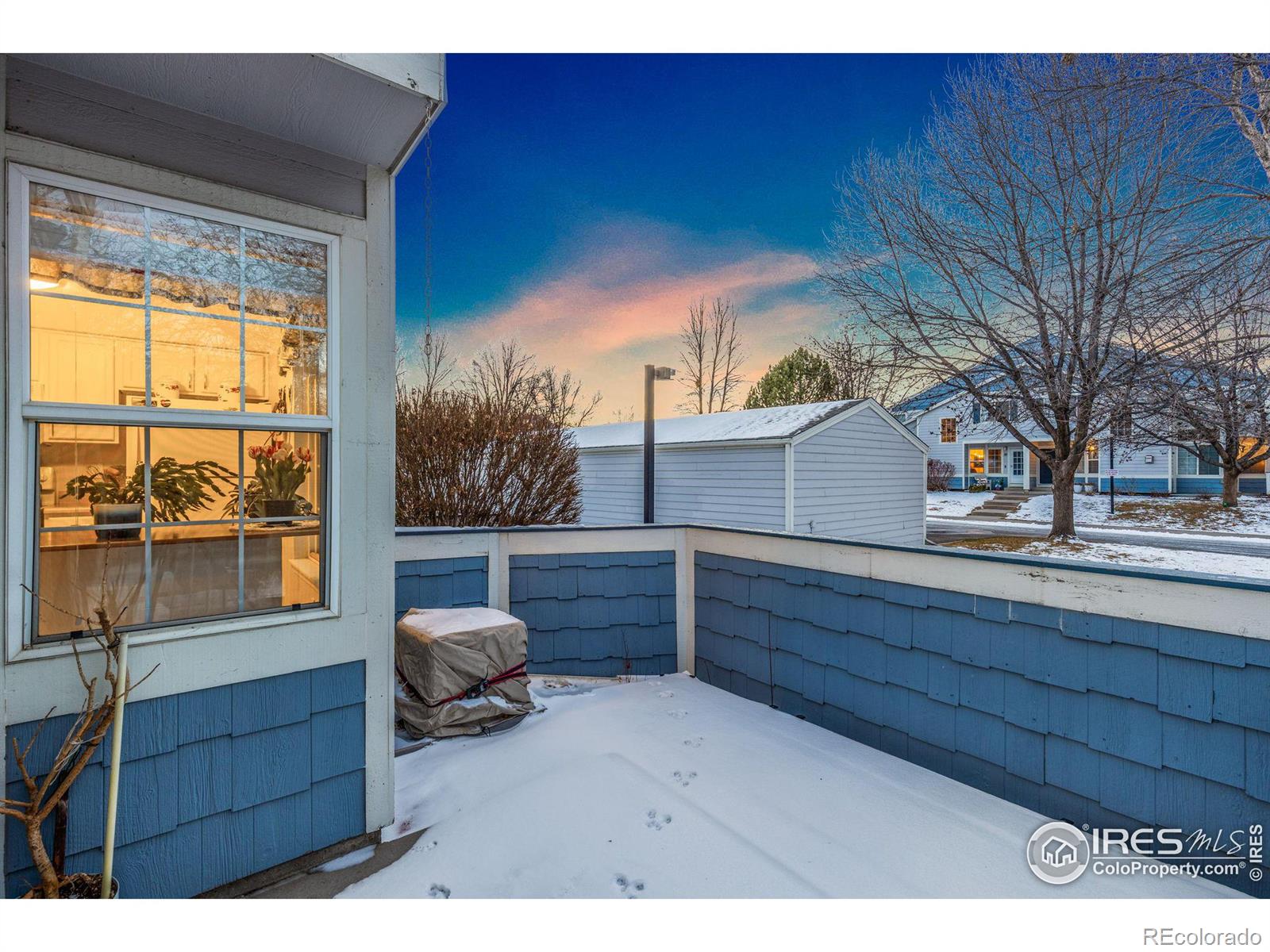 MLS Image #14 for 1419  red mountain drive,longmont, Colorado