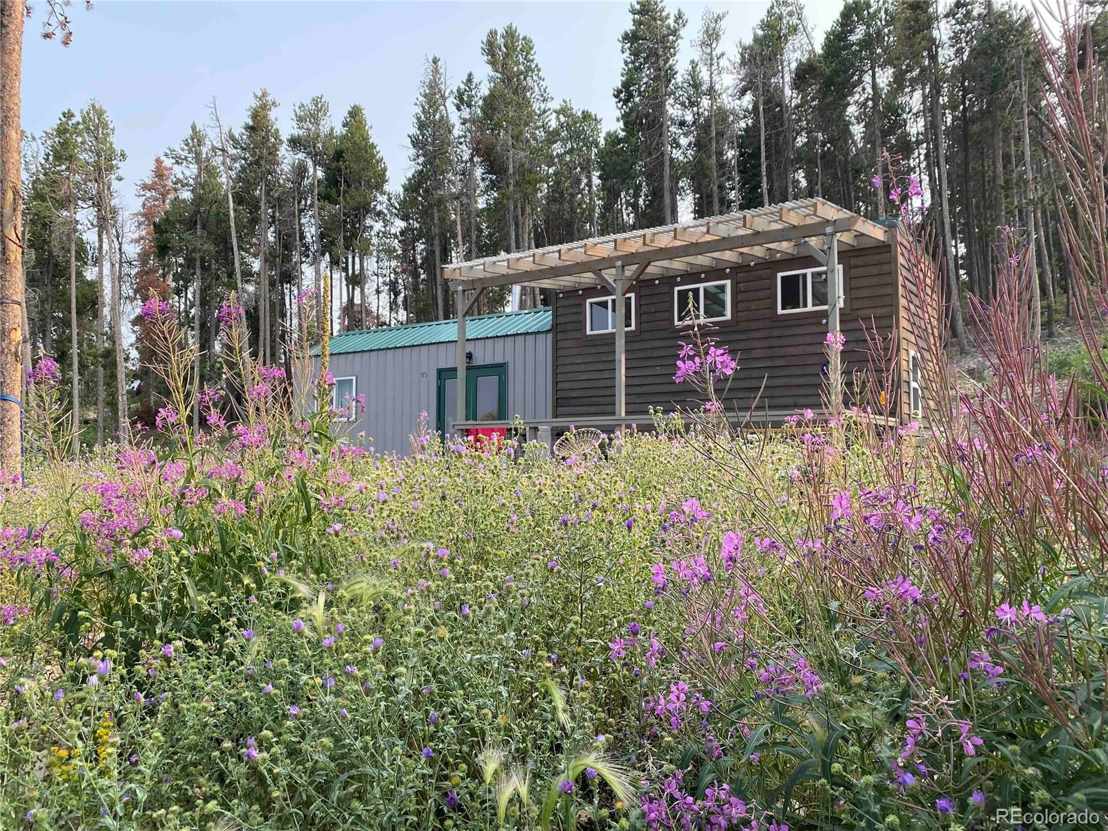 MLS Image #28 for 95  tschaikovsky road,black hawk, Colorado