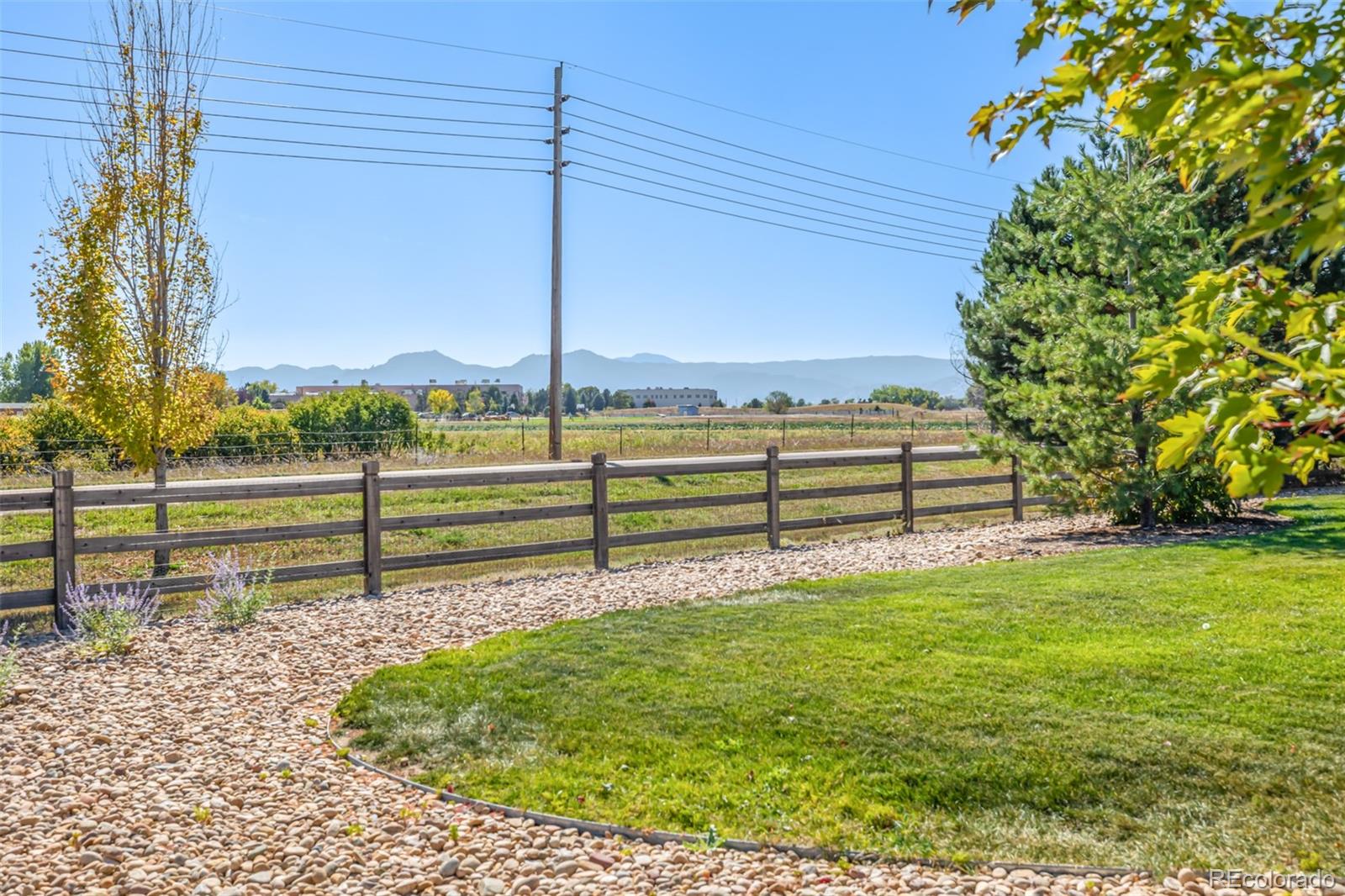 MLS Image #31 for 7466  citation lane,niwot, Colorado