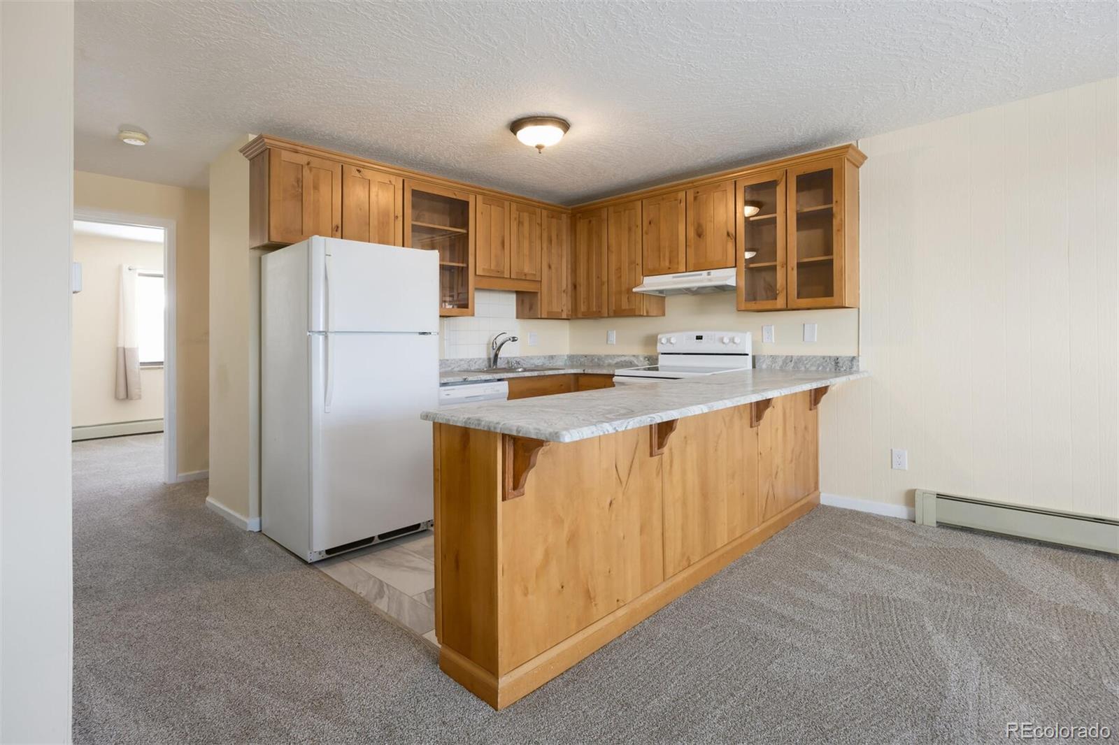 MLS Image #11 for 803  straight creek drive,dillon, Colorado