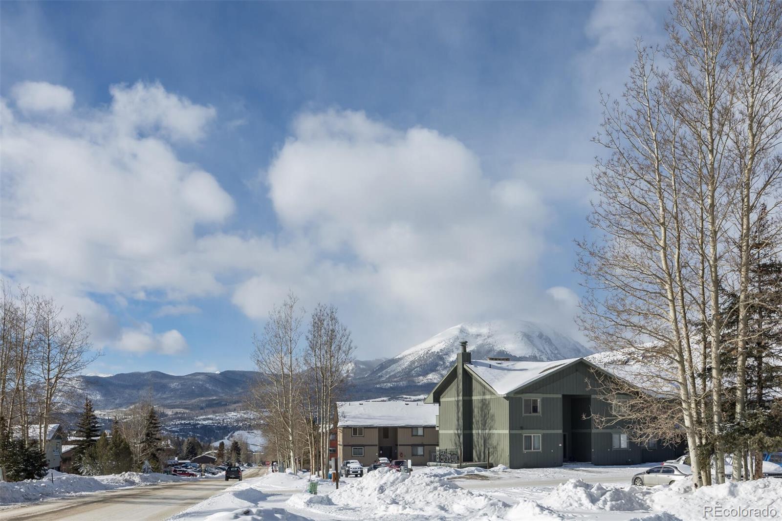 MLS Image #30 for 803  straight creek drive,dillon, Colorado