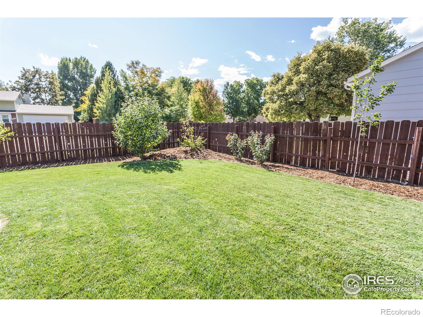 MLS Image #36 for 4413  warbler drive,fort collins, Colorado