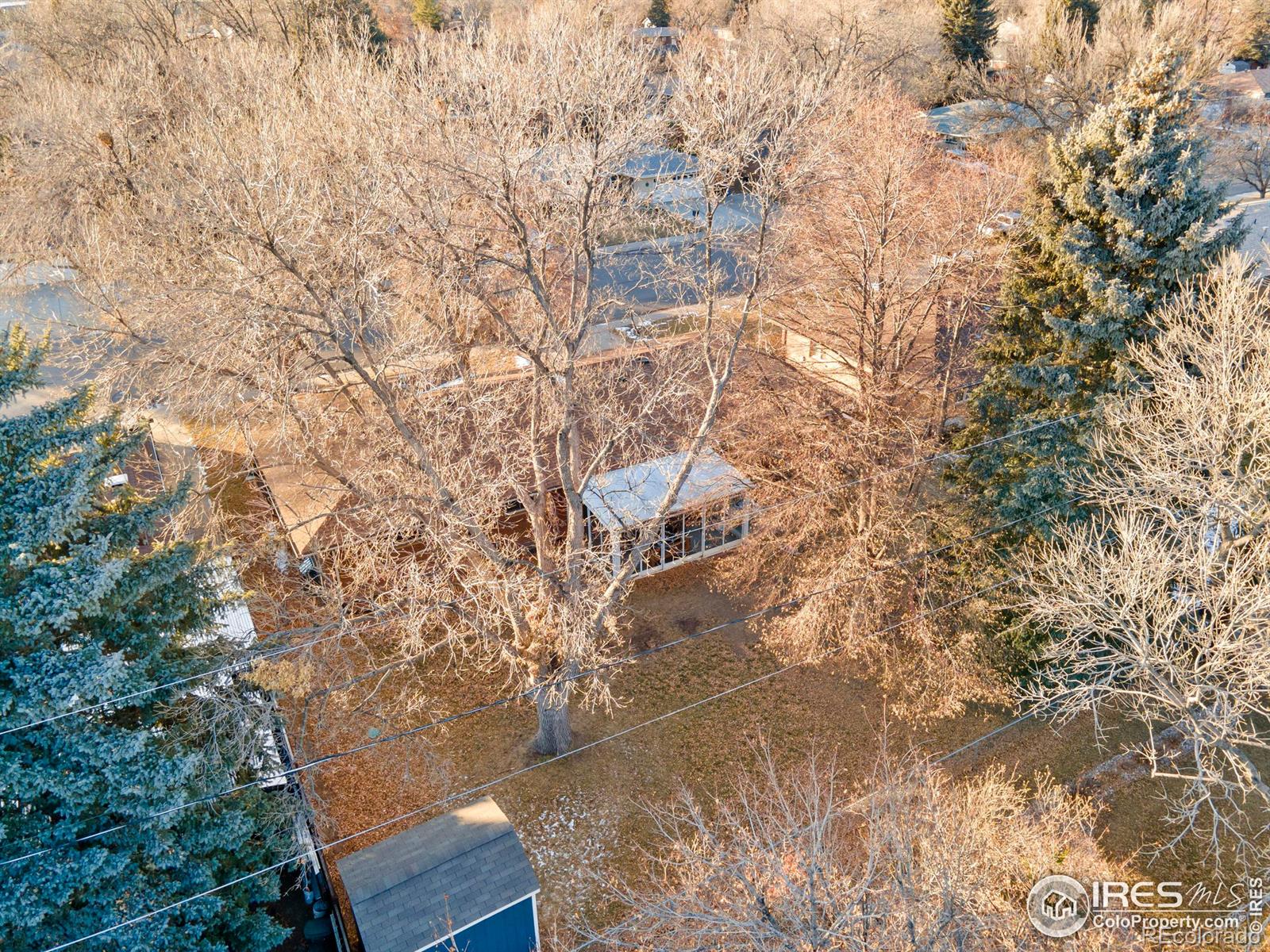 MLS Image #34 for 1806 n empire avenue,loveland, Colorado