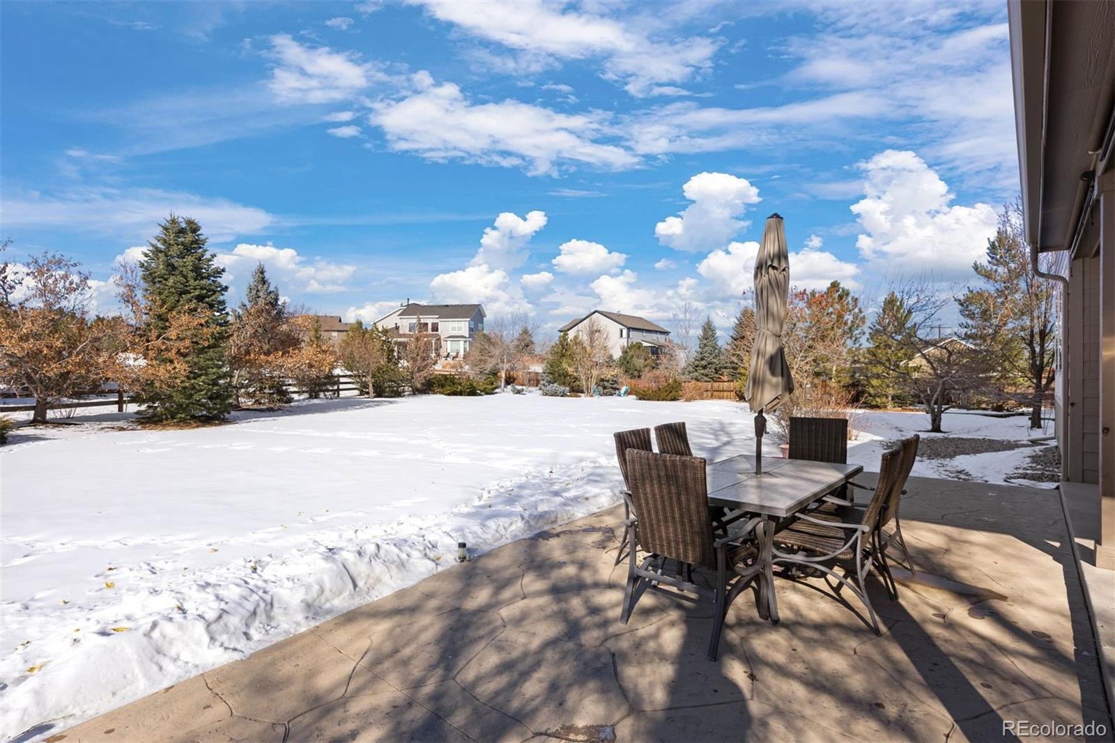 MLS Image #2 for 1021  neptunite place,castle rock, Colorado