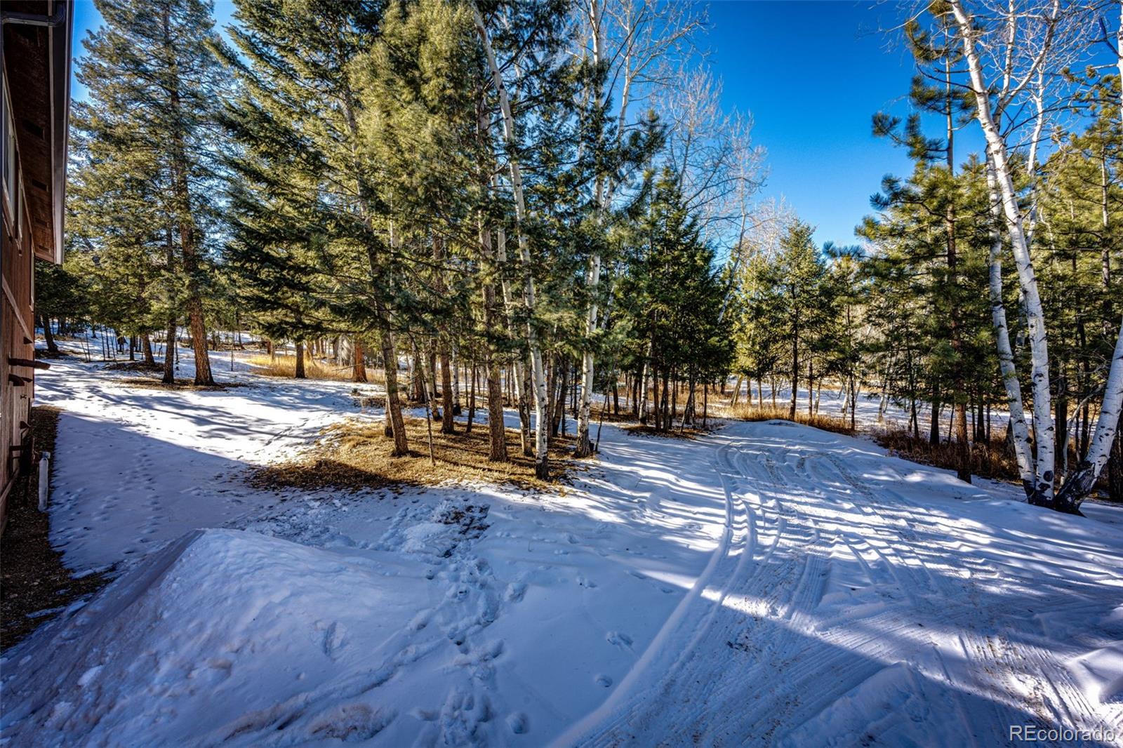 MLS Image #42 for 224  yellow pine drive,bailey, Colorado