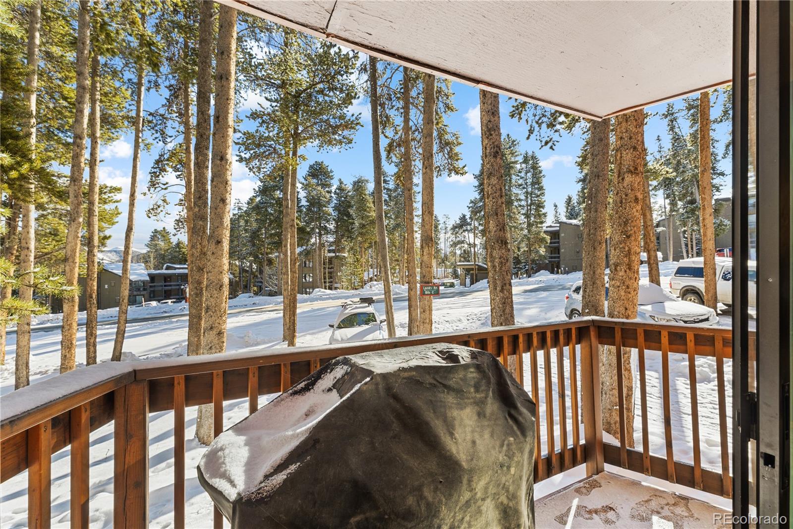 MLS Image #31 for 1140  ski hill road,breckenridge, Colorado