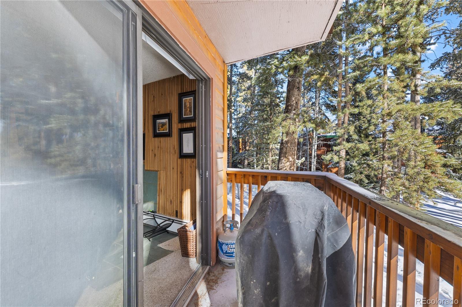 MLS Image #32 for 1140  ski hill road,breckenridge, Colorado