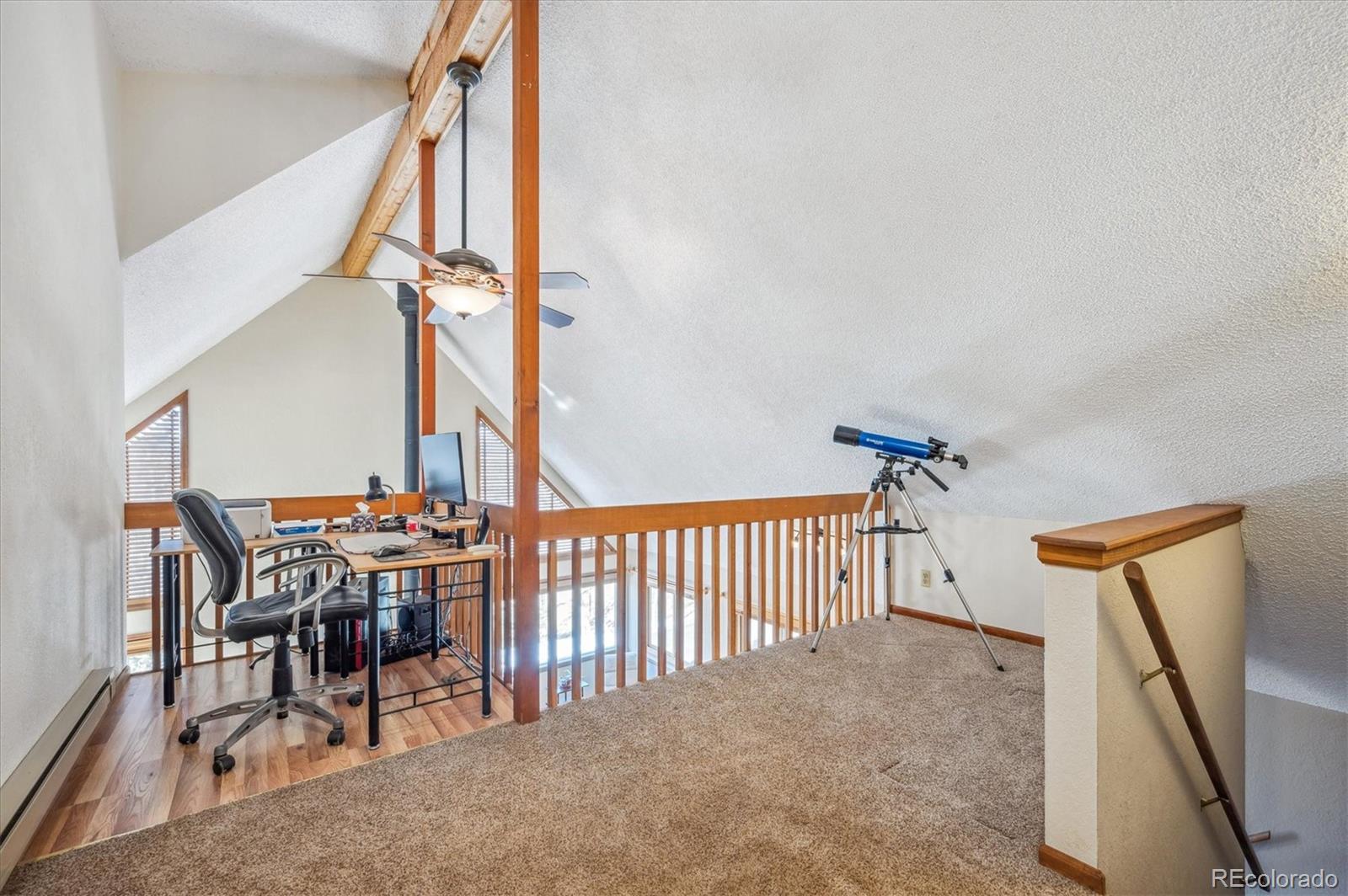 MLS Image #15 for 11564  green court,conifer, Colorado