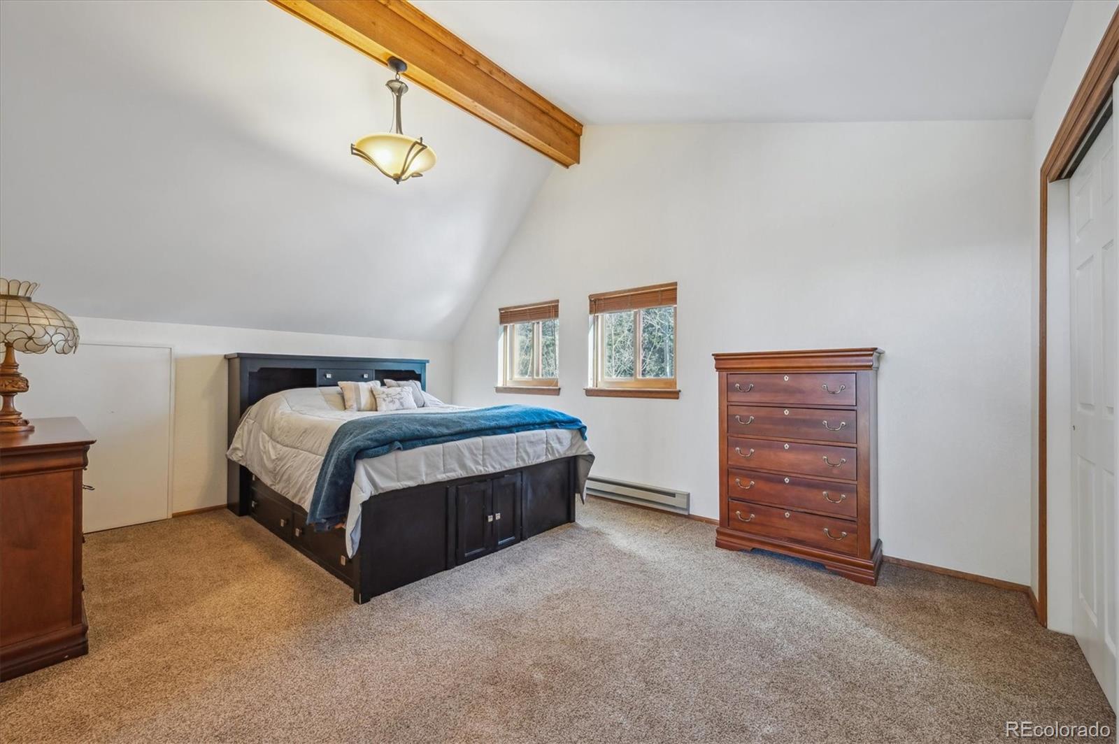 MLS Image #16 for 11564  green court,conifer, Colorado