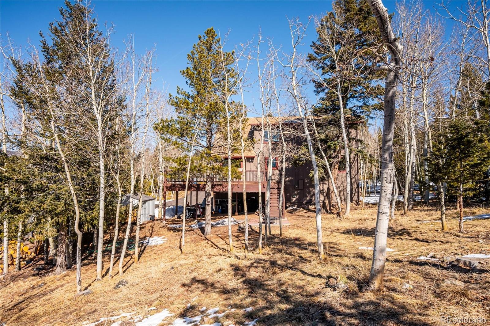 MLS Image #25 for 11564  green court,conifer, Colorado