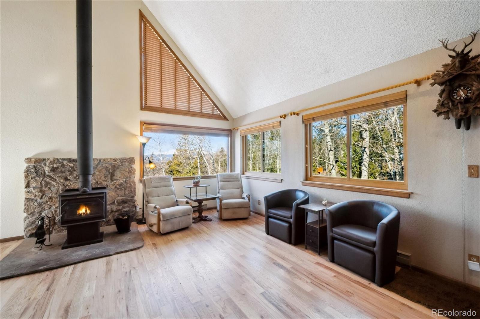 MLS Image #6 for 11564  green court,conifer, Colorado