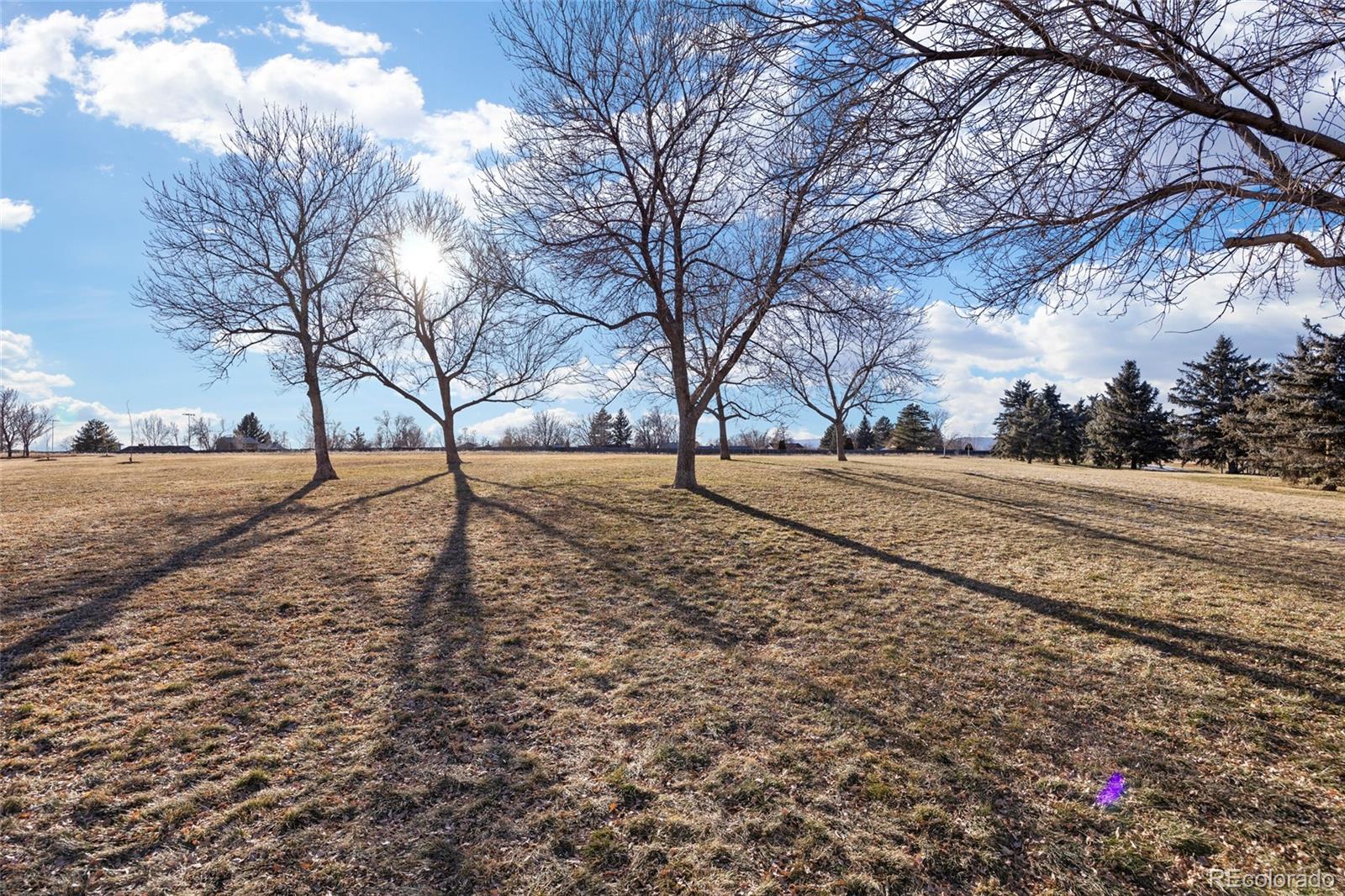 MLS Image #28 for 8690  allison street,arvada, Colorado