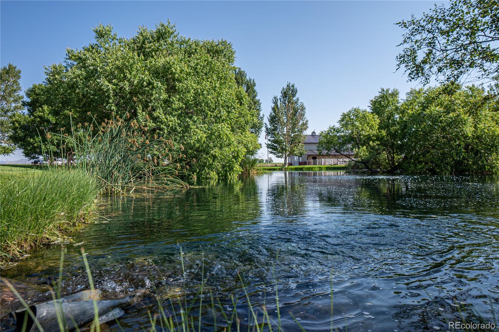 MLS Image #40 for 612 w county road 74 ,wellington, Colorado