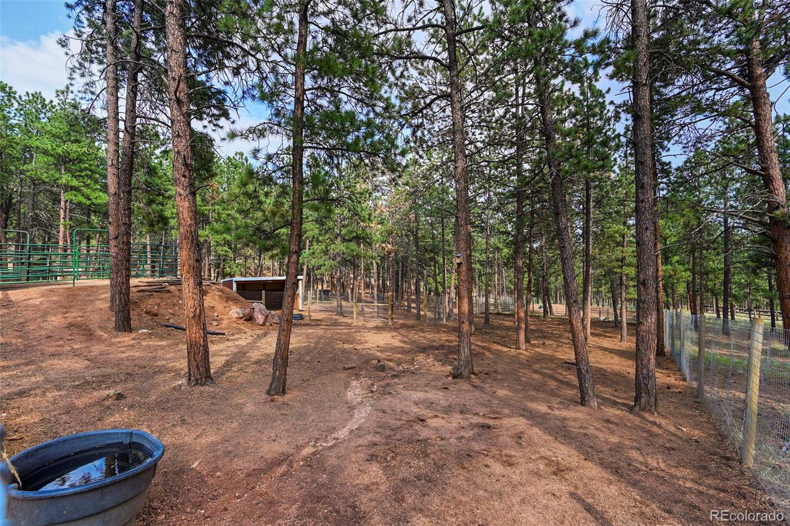 MLS Image #35 for 104  six bits street,bailey, Colorado