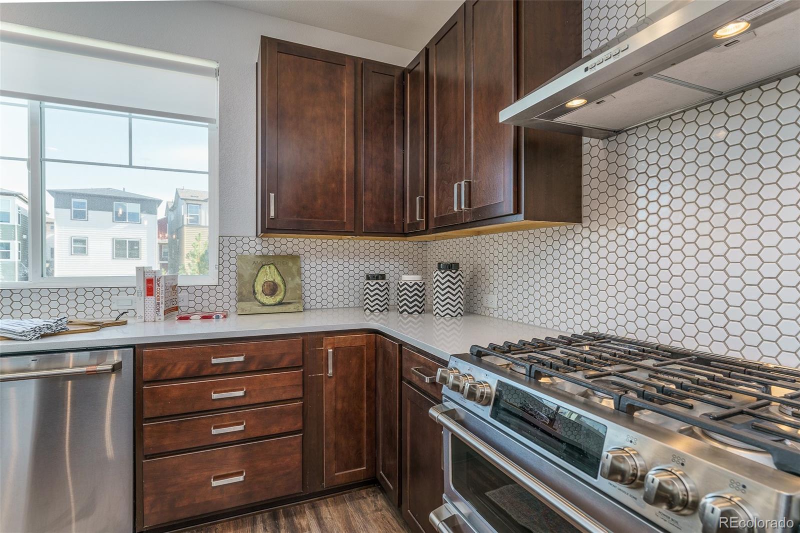 MLS Image #15 for 9025  southurst street,highlands ranch, Colorado