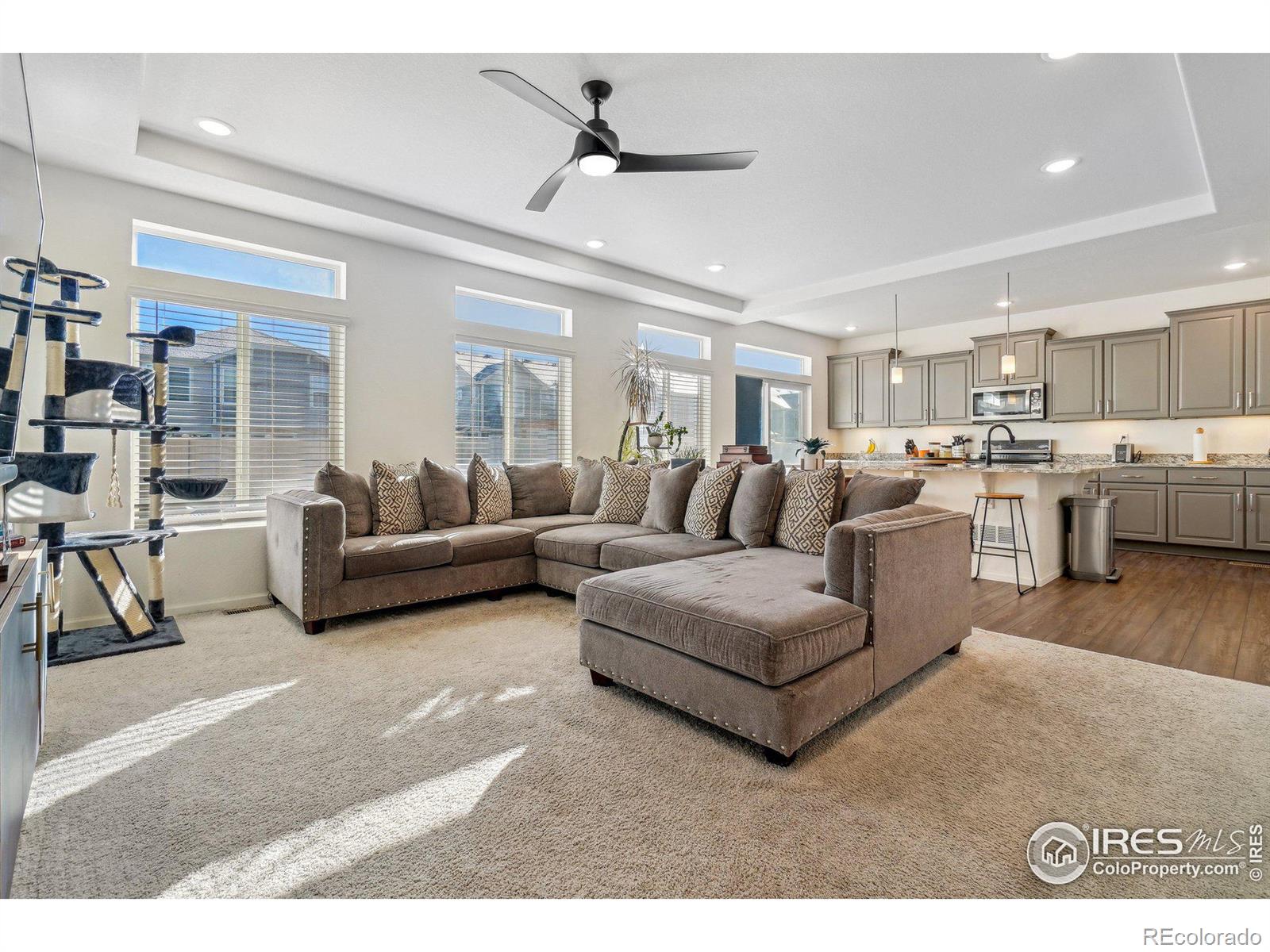 MLS Image #4 for 3669  riverwalk circle,johnstown, Colorado