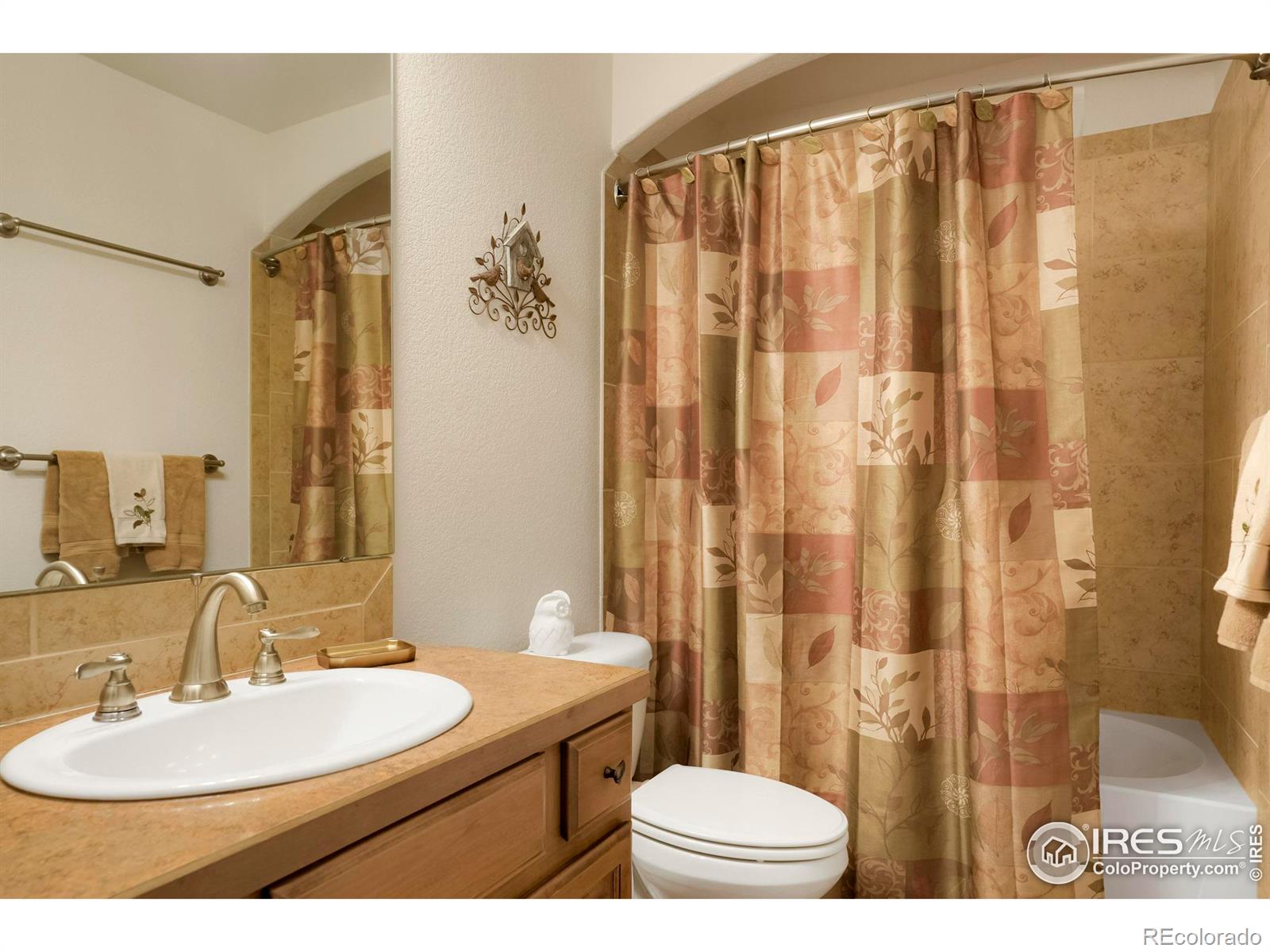 MLS Image #16 for 3527  big ben drive,fort collins, Colorado