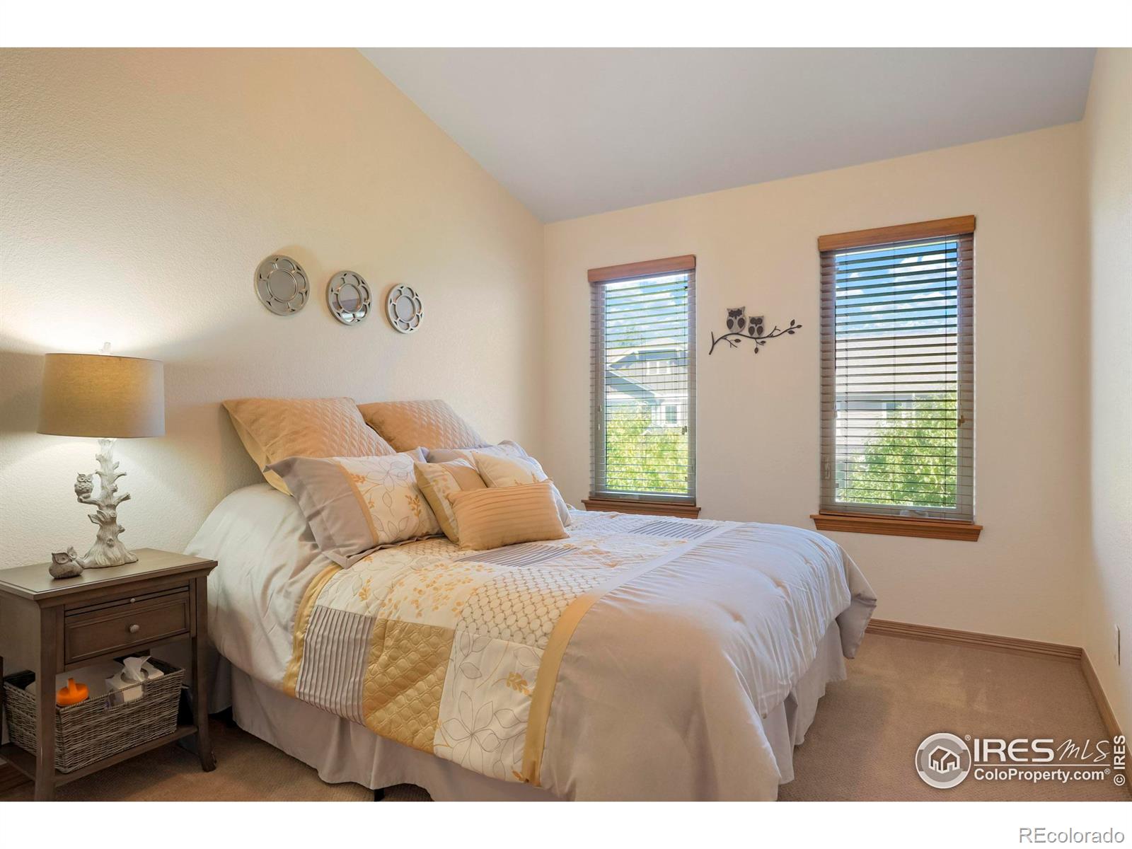 MLS Image #17 for 3527  big ben drive,fort collins, Colorado