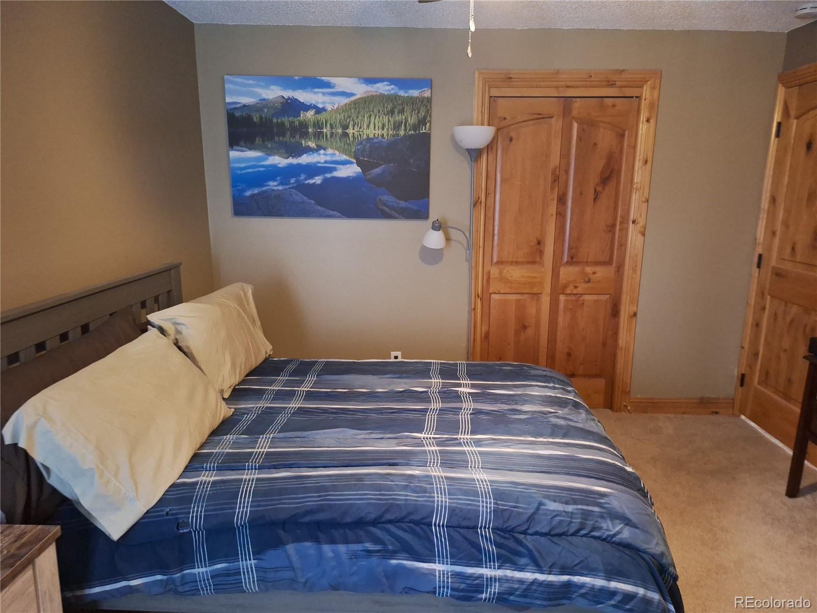 MLS Image #14 for 7222  ryan gulch road,silverthorne, Colorado