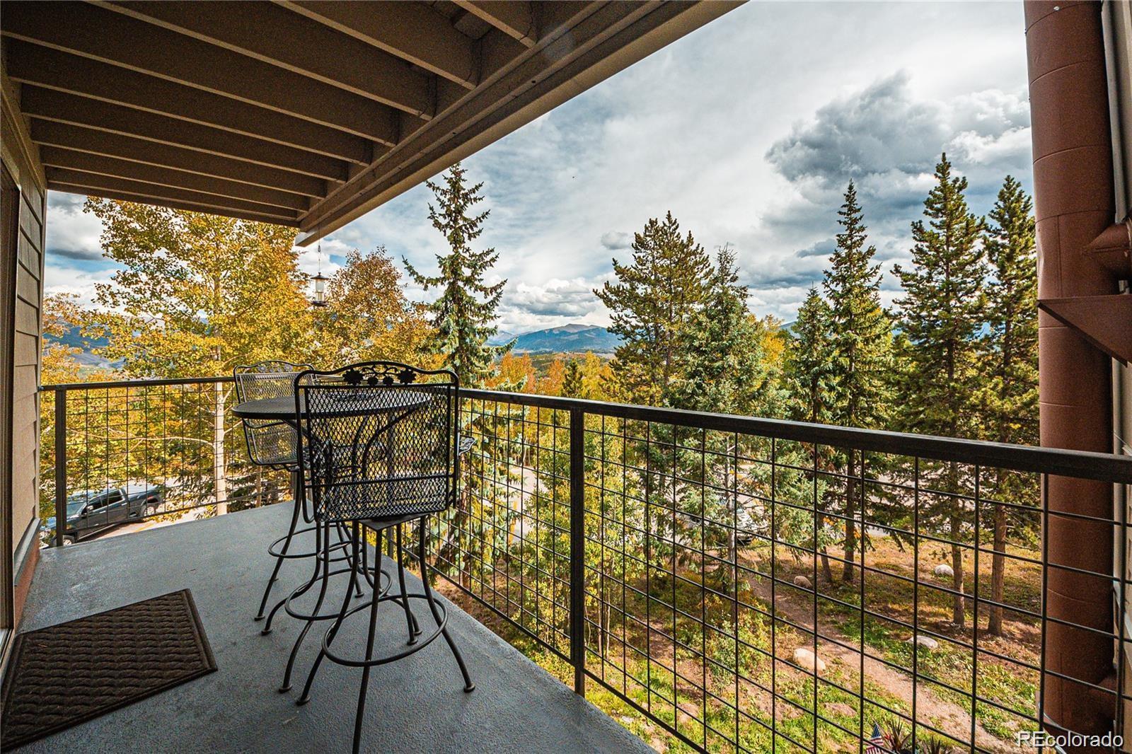 MLS Image #23 for 7222  ryan gulch road,silverthorne, Colorado