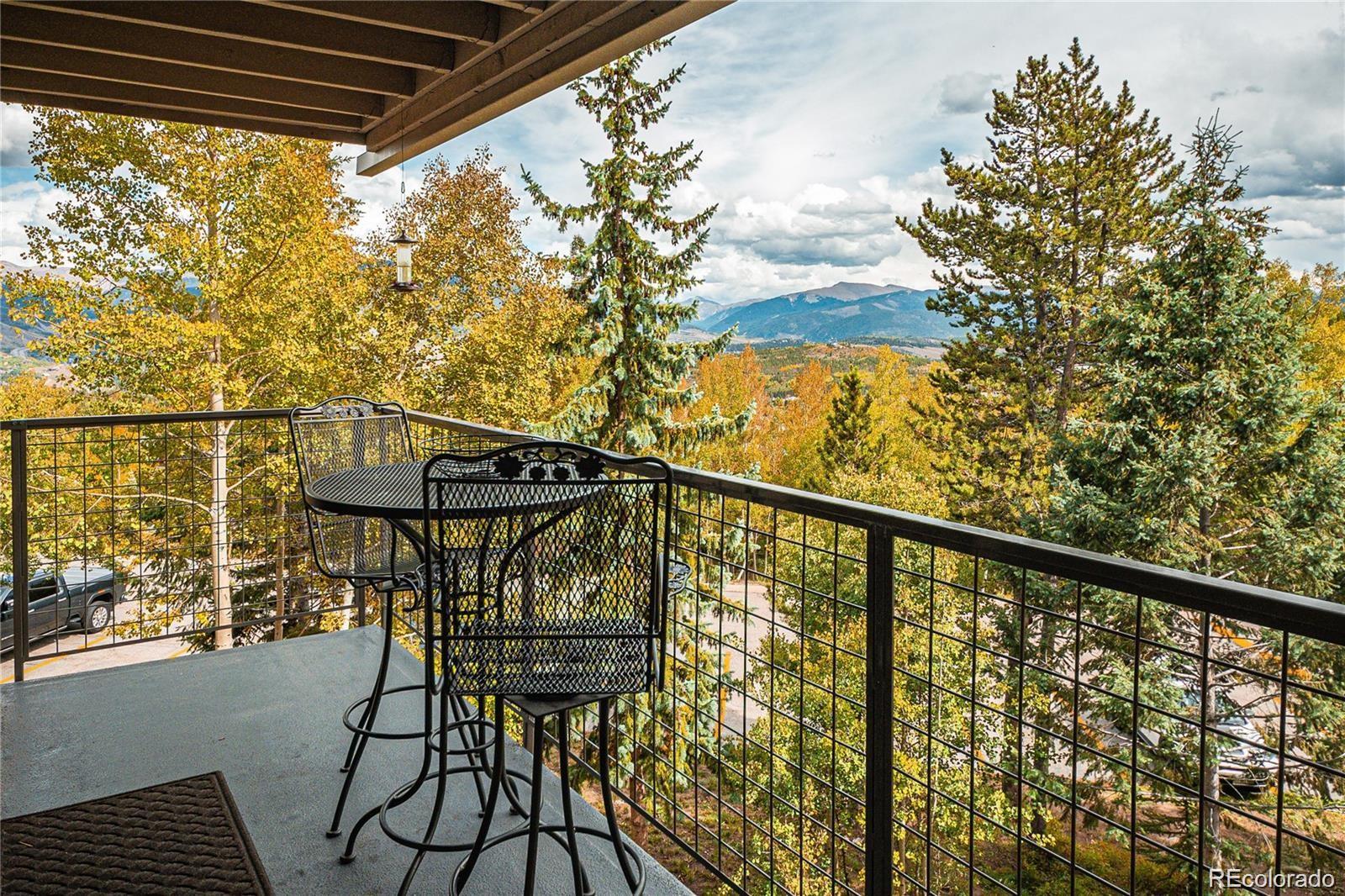 MLS Image #24 for 7222  ryan gulch road,silverthorne, Colorado