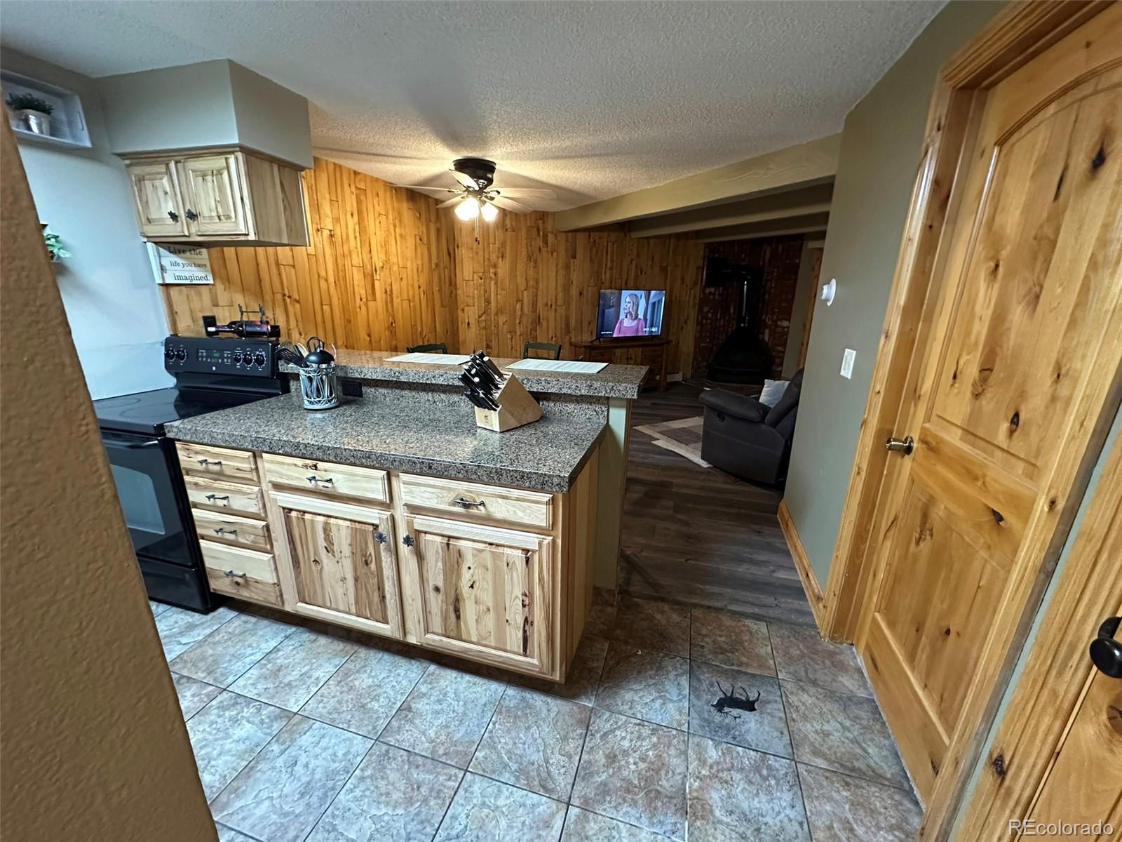 MLS Image #8 for 7222  ryan gulch road,silverthorne, Colorado