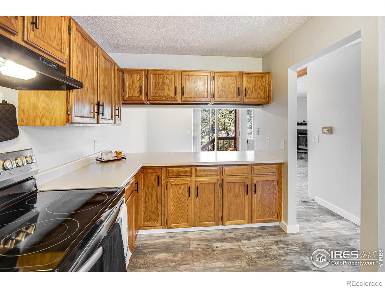 MLS Image #9 for 1050 s st vrain avenue,estes park, Colorado